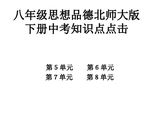 八年级政治下册中考知识点点击-P