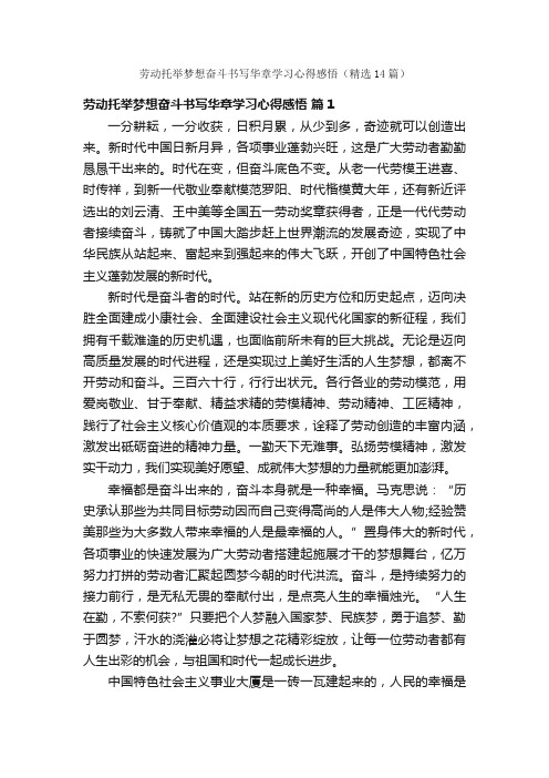 劳动托举梦想奋斗书写华章学习心得感悟（精选14篇）