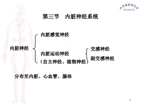 第三节内脏神经系统PPT课件