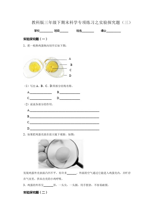 3、教科版三年级下期末科学专项练习之实验探究题(三)