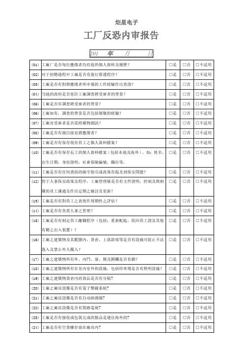 反恐内审报告