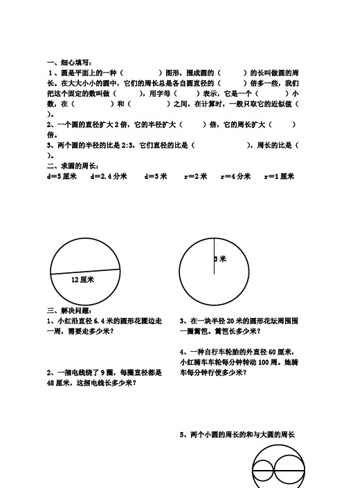 六年级数学圆的周长和面积练习题