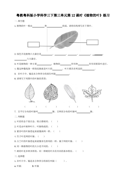 粤教粤科版小学科学三年级下册第三单元第12课时《植物的叶》练习试题(附答案)