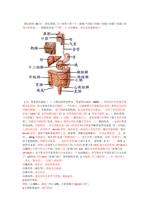 大苗消化系统听课笔记