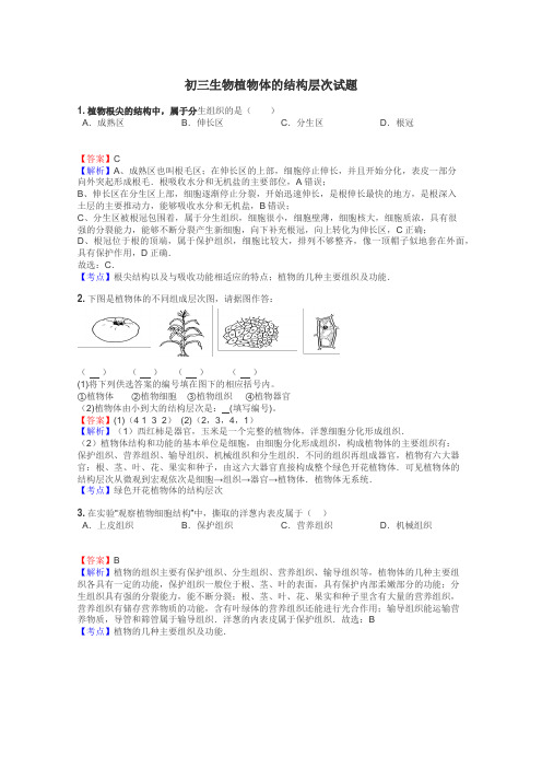 初三生物植物体的结构层次试题
