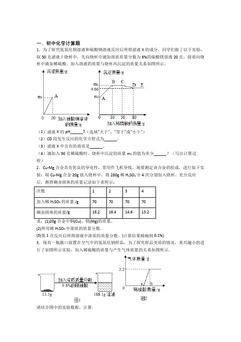 南京师范大学附中树人学校中考化学模拟试卷汇编：计算题流程题实验题试题及答案解答