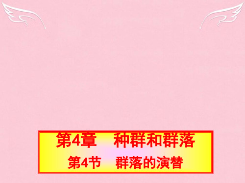 人教版高中生物必修三4.4《群落的演替》ppt课件2