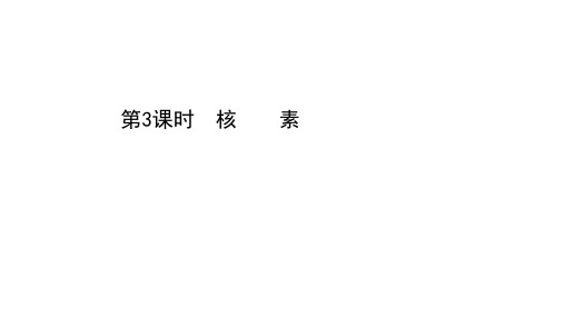 2020-2021学年人教版高中化学必修2课件：1.1.3 核素