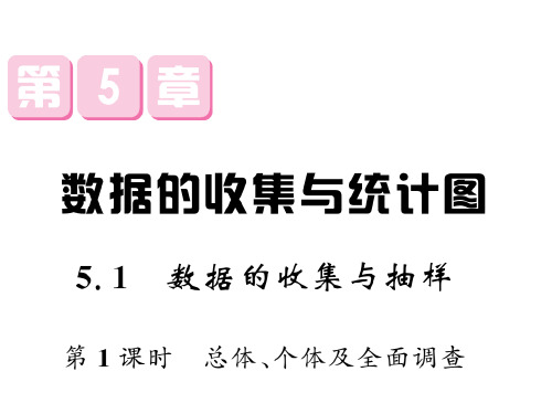 秋七年级上册数学(湘教版)课件:5.1 数据的收集与抽样(1)