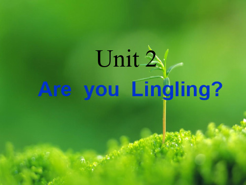 湘少版英语三年级下册unit 2 are you lingling教学课件(3)