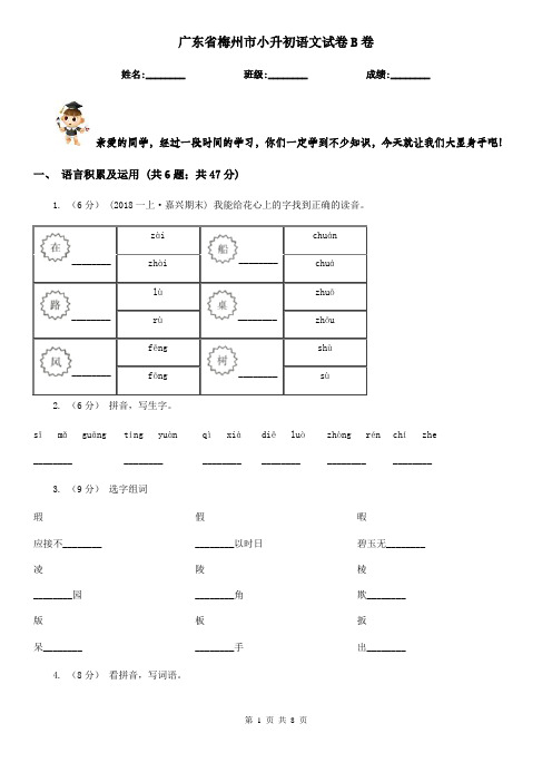 广东省梅州市小升初语文试卷B卷