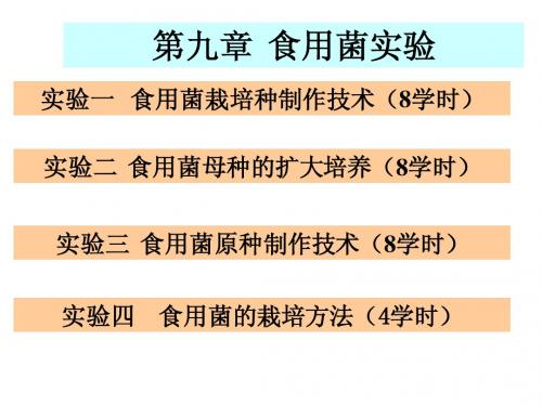 食用菌学-9食用菌实验