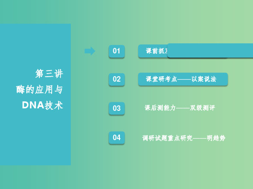 江苏专版2019版高考生物一轮复习鸭部分生物技术实践第三讲酶的应用与DNA技术课件