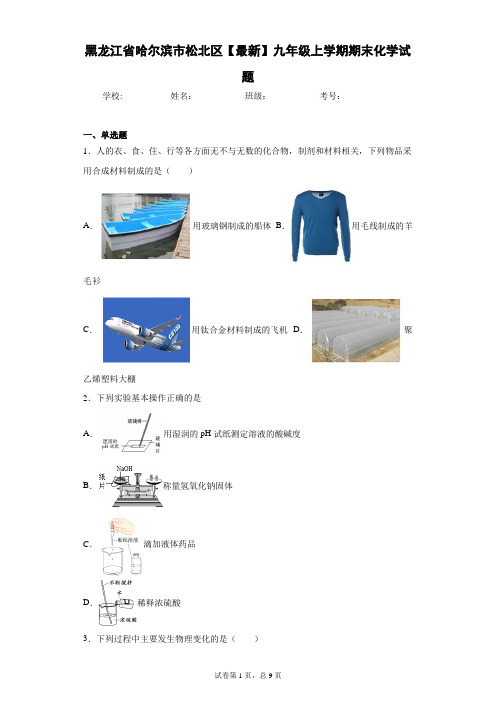 黑龙江省哈尔滨市松北区2020-2021学年九年级上学期期末化学试题