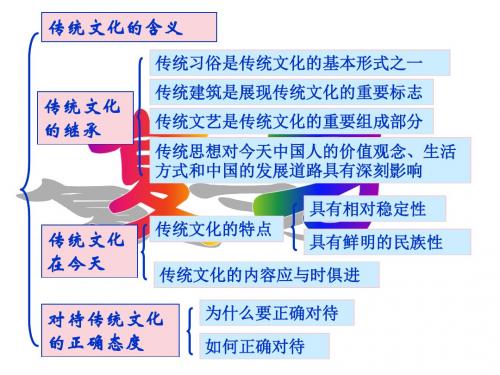 4.2文化在继承中发展(云)