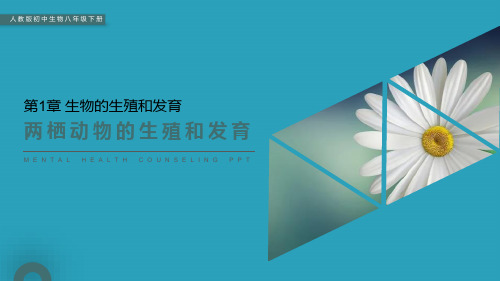 《两栖动物的生殖和发育》PPT精品课件2021课件PPT