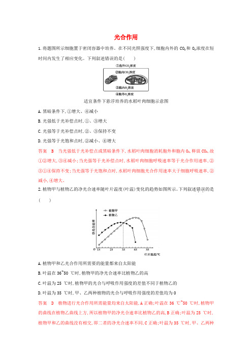 浙江省2020版高考生物复习第8讲光合作用教师备用题库(含解析)