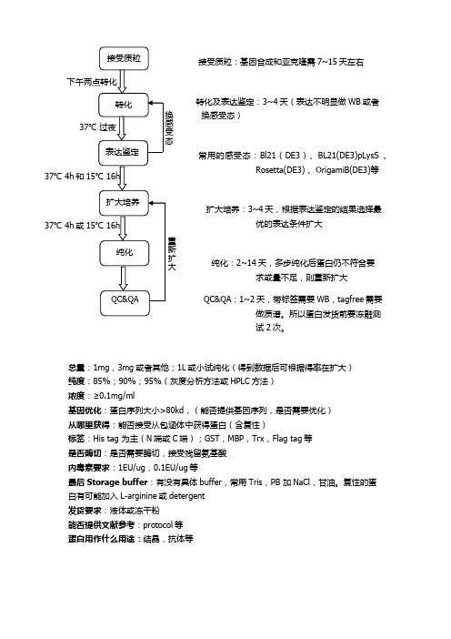 大肠杆菌系统表达和纯化流程