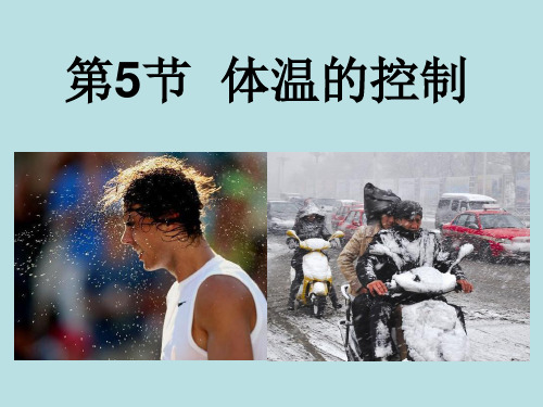 3.5 体温的控制—浙教版八年级科学上册课件(共17张PPT)