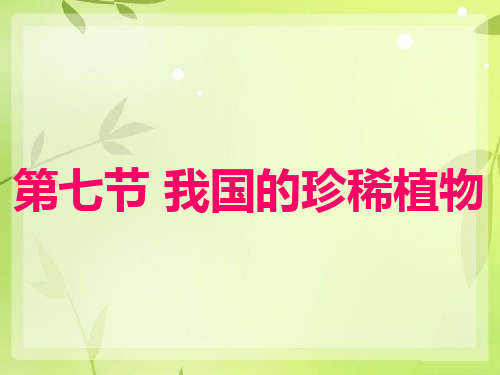 江西省永丰县恩江中学七年级生物上册 3.7 我国珍稀植物课件 (新版)冀教版