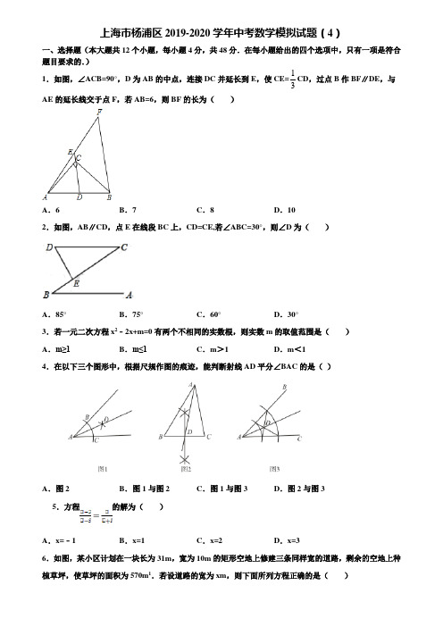上海市杨浦区2019-2020学年中考数学模拟试题(4)含解析
