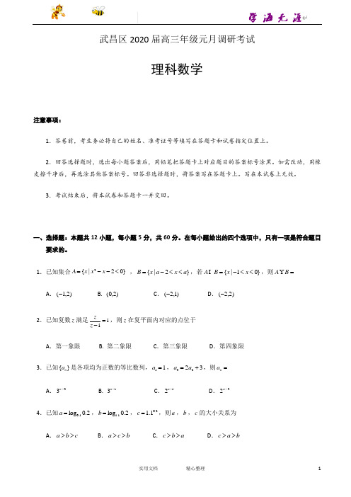 2020-- 湖北省 武汉市 武昌区高三元月调研考试 数学(理)试题