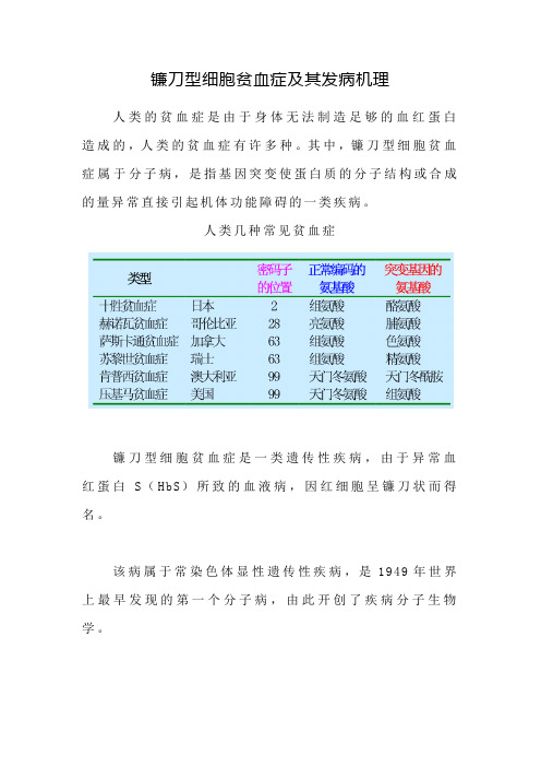 镰刀型细胞贫血症及其发病机理