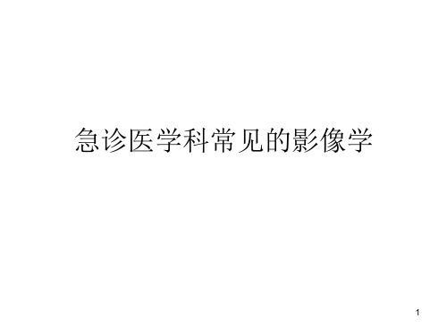 急诊医学科常见的影像学PPT课件