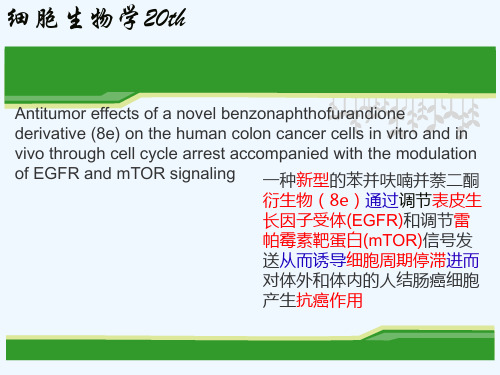 人类结肠癌细胞的抗增殖活性及其相关分子机理的探讨