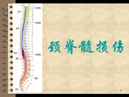 颈脊髓损伤临床表现