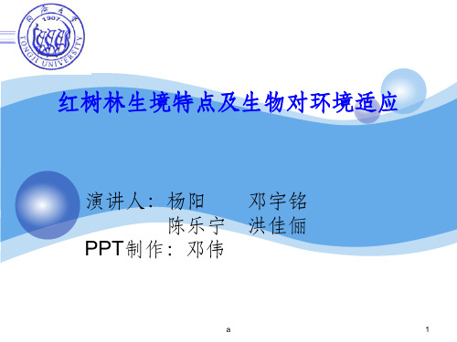 红树林生境特点及生物对环境适应