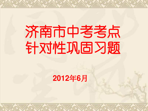 山东省济南市中考物理 考点巩固训练课件