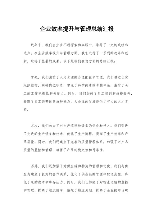 企业效率提升与管理总结汇报