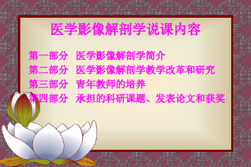 最新医学影像解剖学说课课件幻灯片