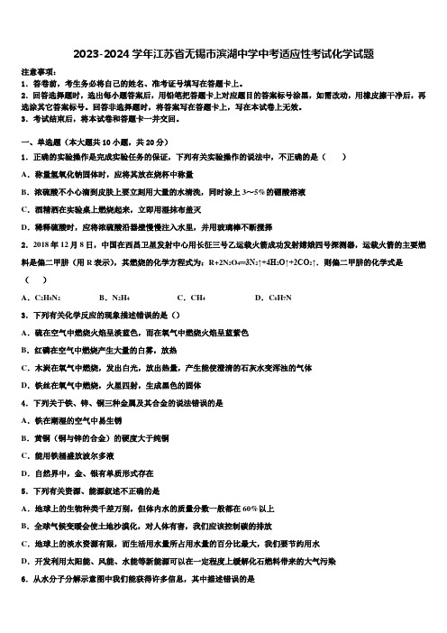 2023-2024学年江苏省无锡市滨湖中学中考适应性考试化学试题含解析