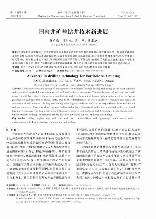 国内井矿盐钻井技术新进展