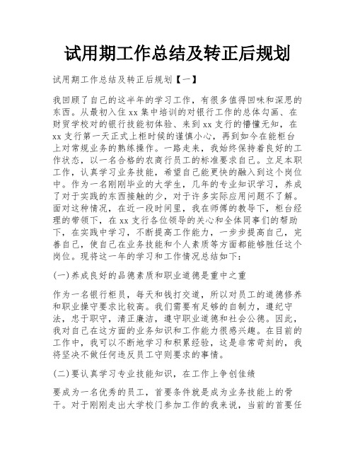 试用期工作总结及转正后规划