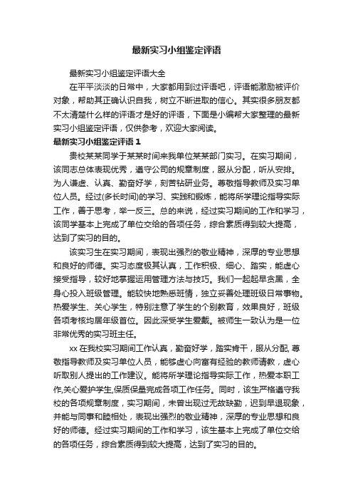 最新实习小组鉴定评语大全