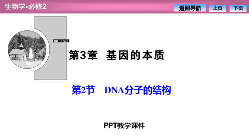 第3章  第2节 DNA分子的结构PPT课件