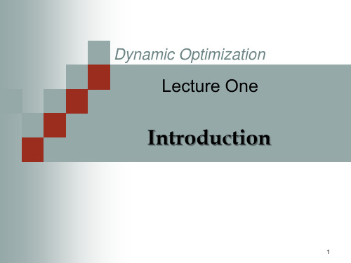 动态优化Dynamic Optimization 1p1 Lecture 1. Introduction