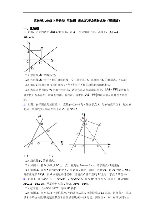 苏教版八年级上册数学 压轴题 期末复习试卷测试卷(解析版)