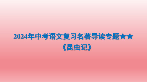 2024年中考语文复习名著导读专题★★ 《昆虫记》课件(共28张PPT)