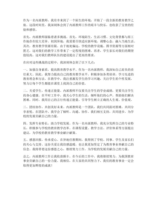 内派教师心得体会