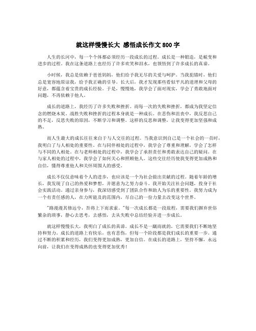 就这样慢慢长大 感悟成长作文800字