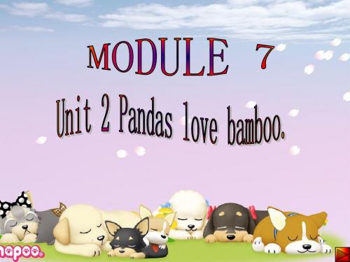 2019年六年级上册英语课件Module 7Unit 2 Pandas love bamboo∣外研版(三起) 共22张PPT语文