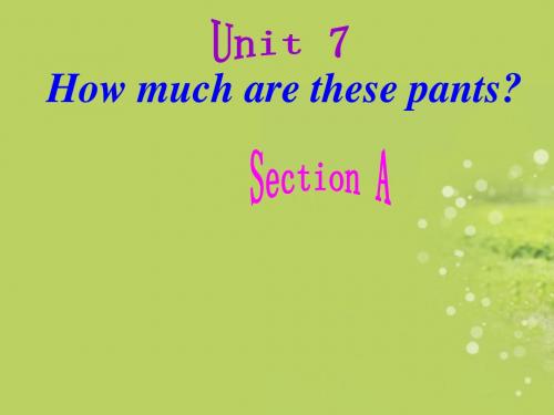 七年级英语上册_Unit7_How_much_are_these_socks课件_人教新目标版