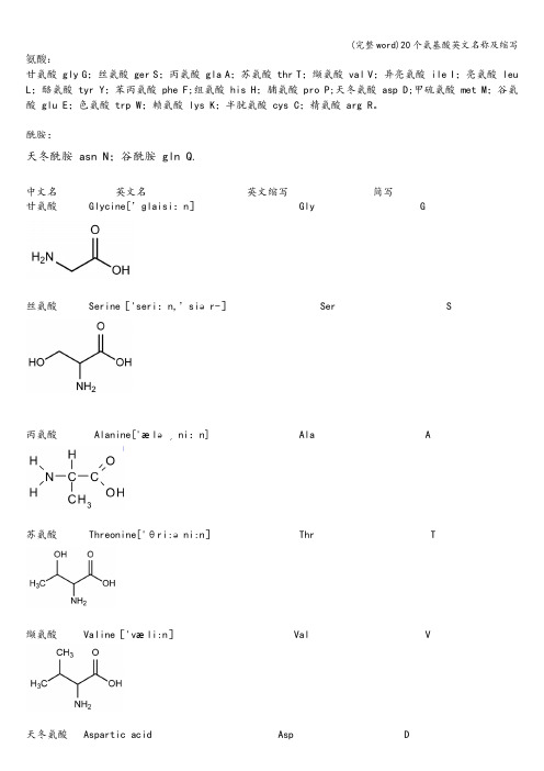 (完整word)20个氨基酸英文名称及缩写
