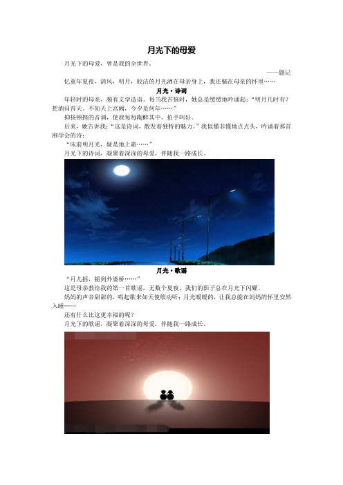 月光下的母爱(原创文章)