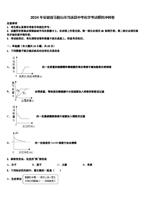 2024年安徽省马鞍山市当涂县中考化学考试模拟冲刺卷含解析