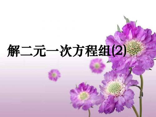 解二元一次方程组--江苏教育版